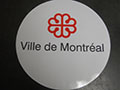 Custom Manhole Covers - 35 (Description: The Village Of Montreal is using the VPC Fiberglass Custom Manhole covers with locks in many non traffic areas.)